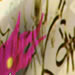 Appllied Defacement