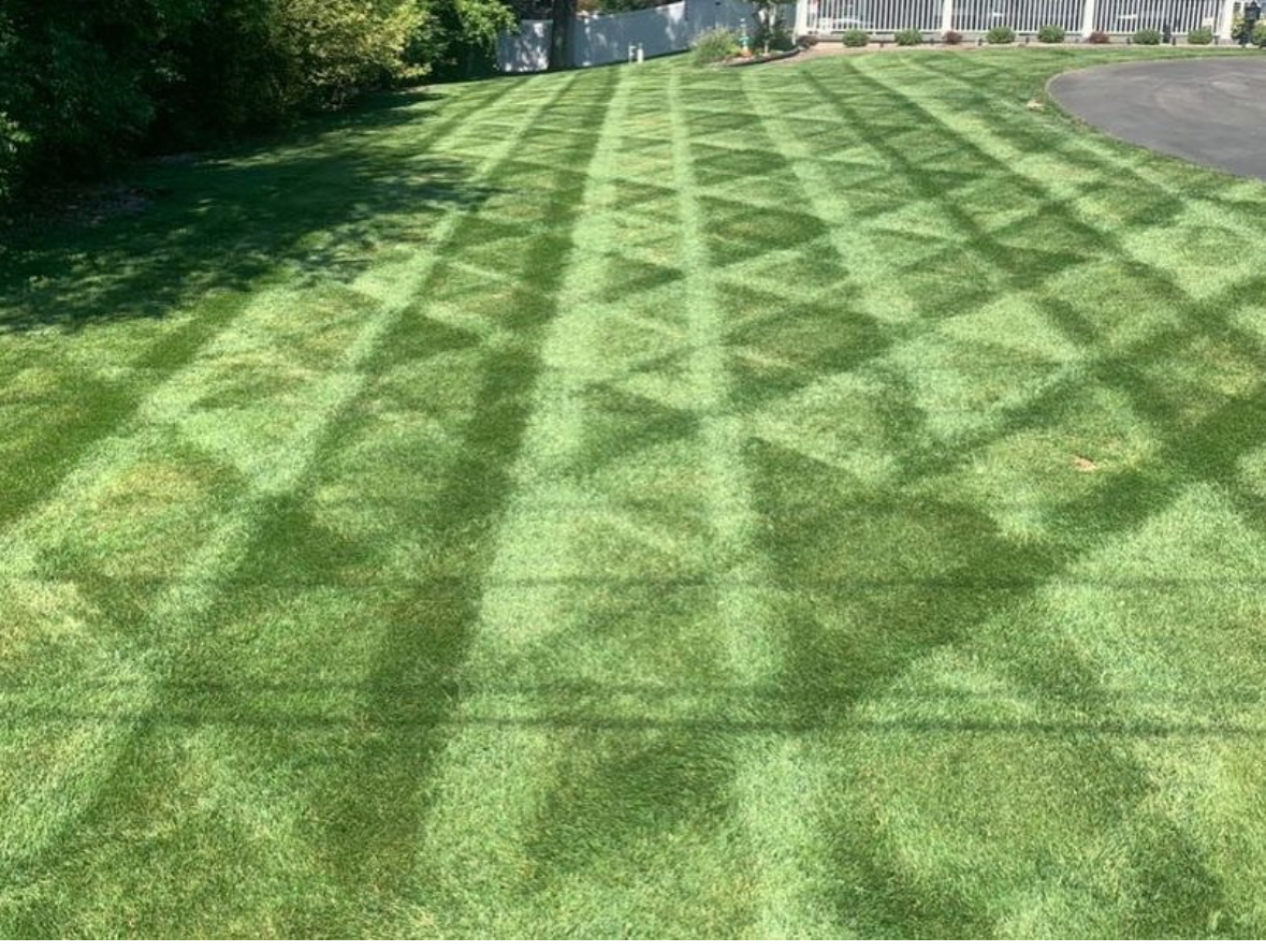 grass cut