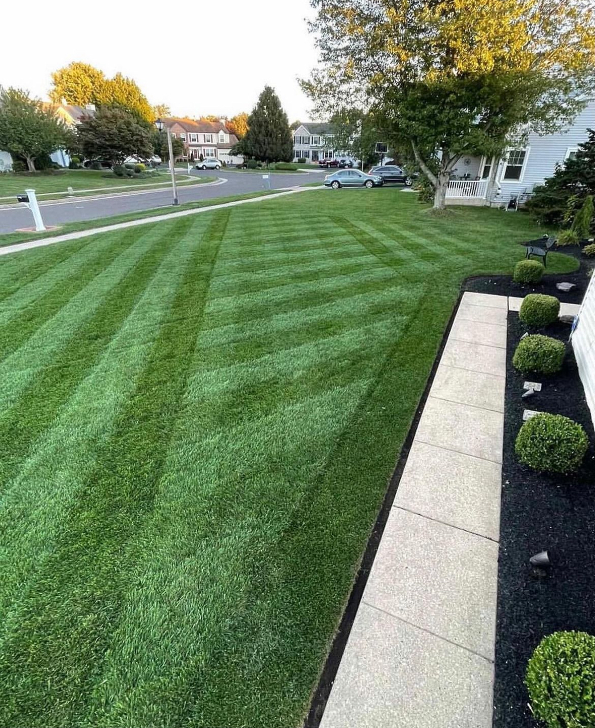 grass cut