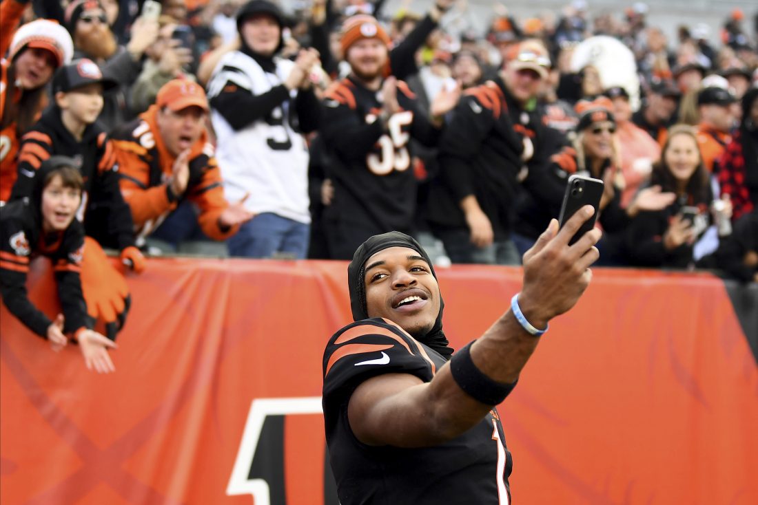 Bengals Fans