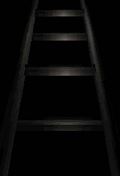 erie ladder