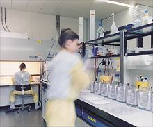 Diagnostic Services at Prionics