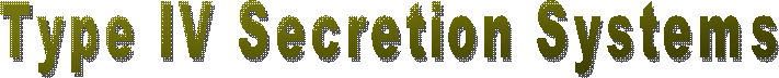 Type IV Secretion Systems