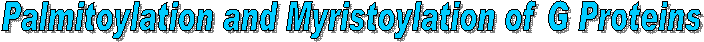 Palmitoylation and Myristoylation of G Proteins
