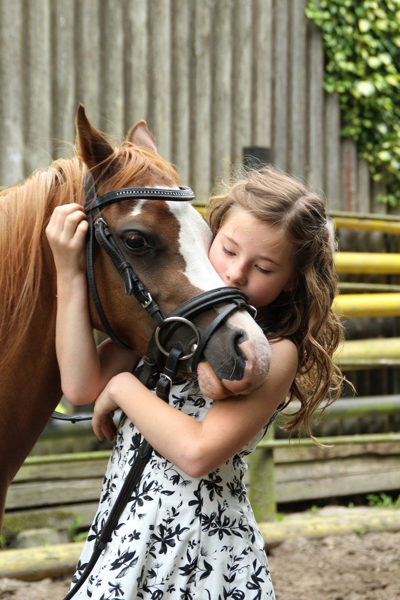 Image of a little girl and horse