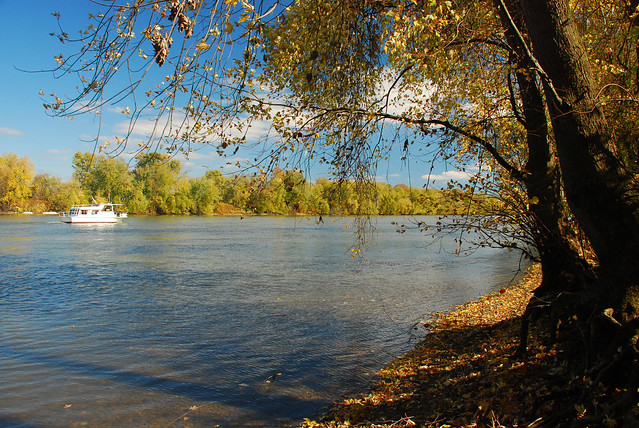 Ohio River Fall View