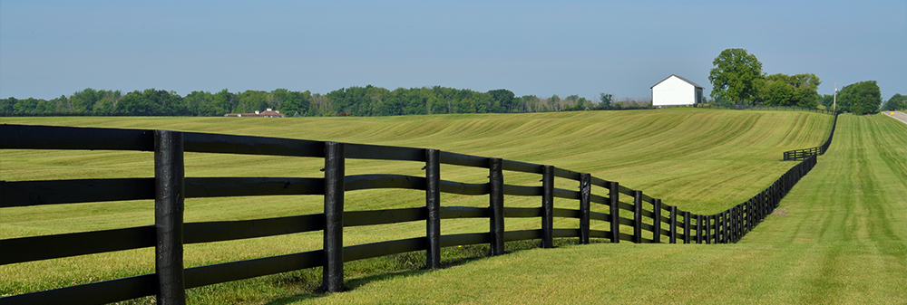 Photo of a horse pasture's fenceline