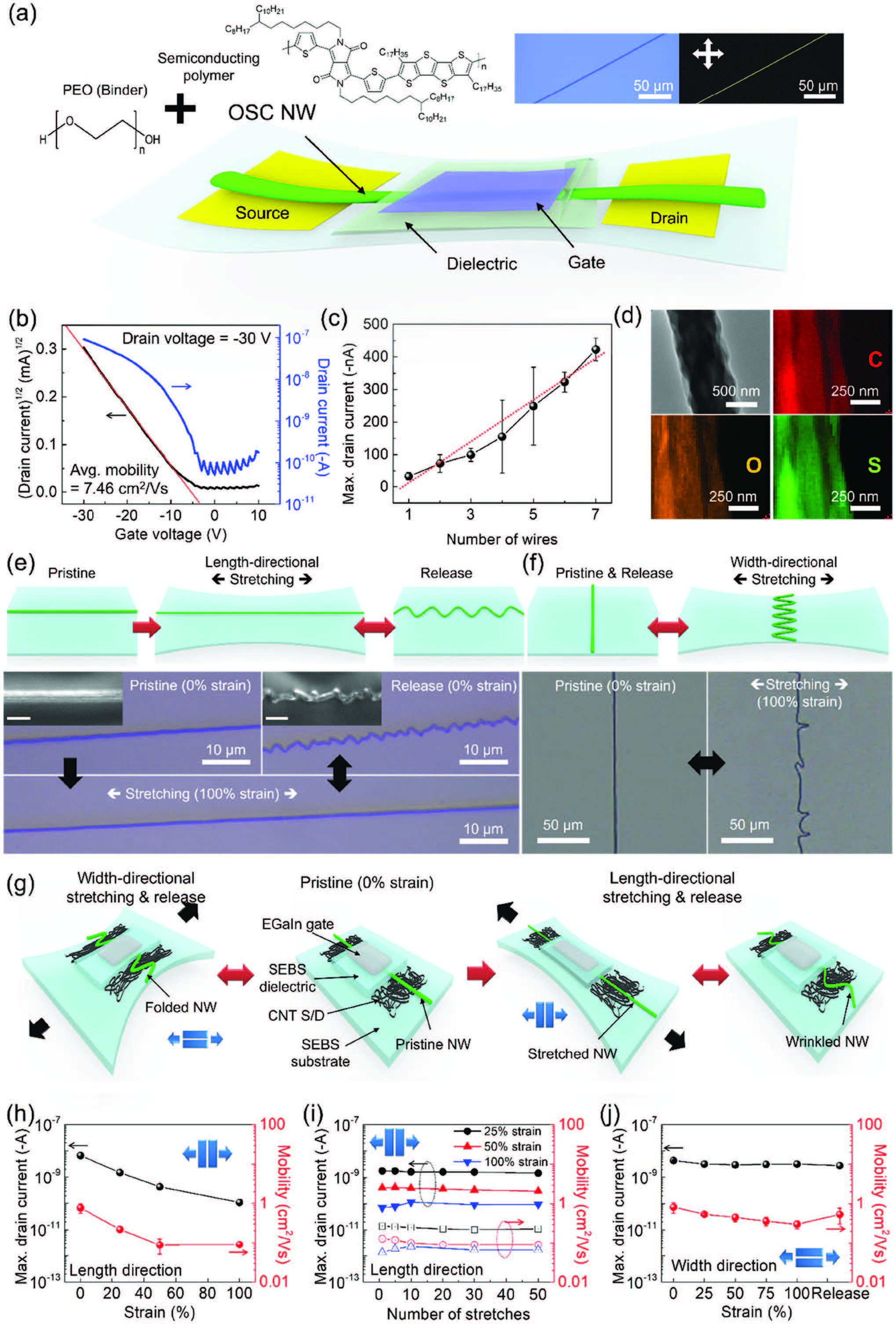 Deformable Organic Nanowire Field‐Effect Transistors