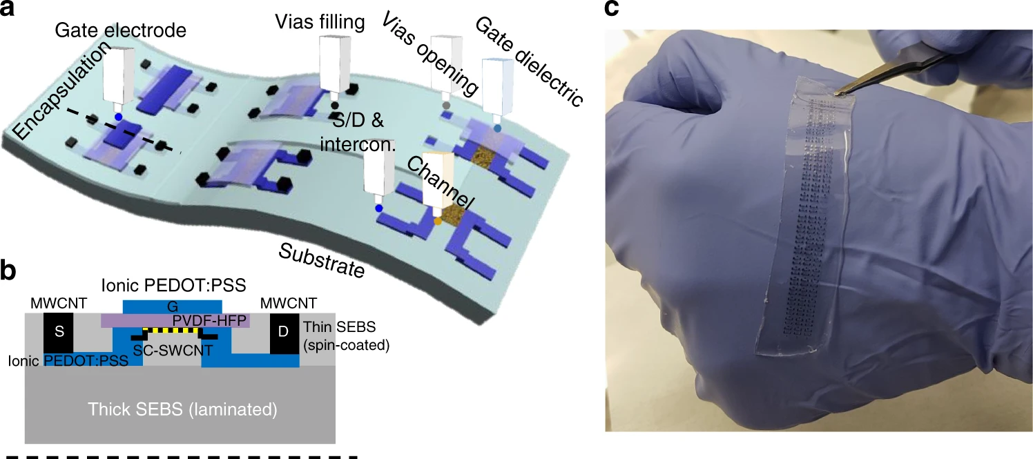 Inkjet-printed stretchable and low voltage synaptic transistor array