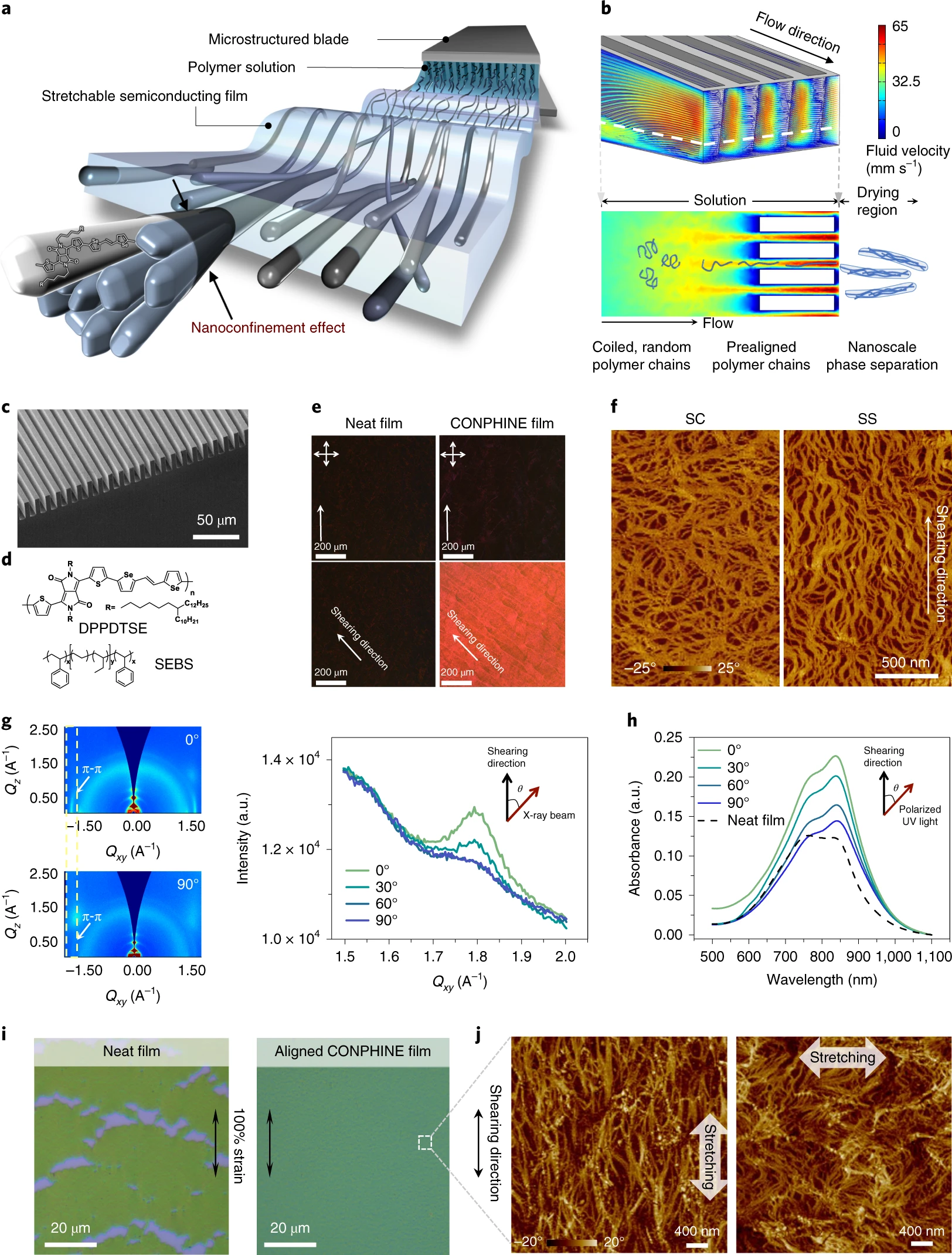 Multi-scale ordering in highly stretchable polymer semiconducting films