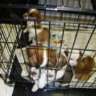 crate two success story