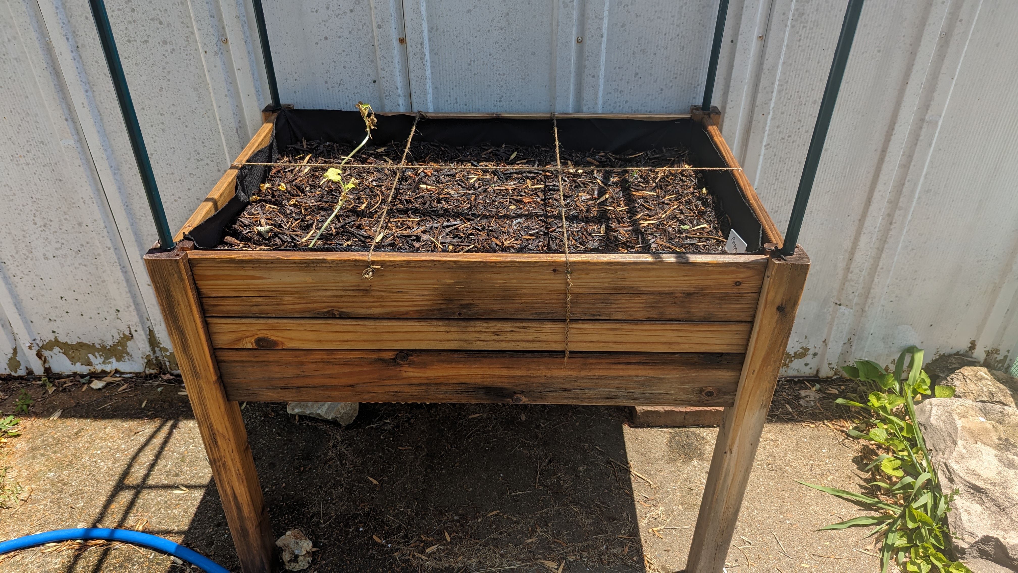 A raised garden bed