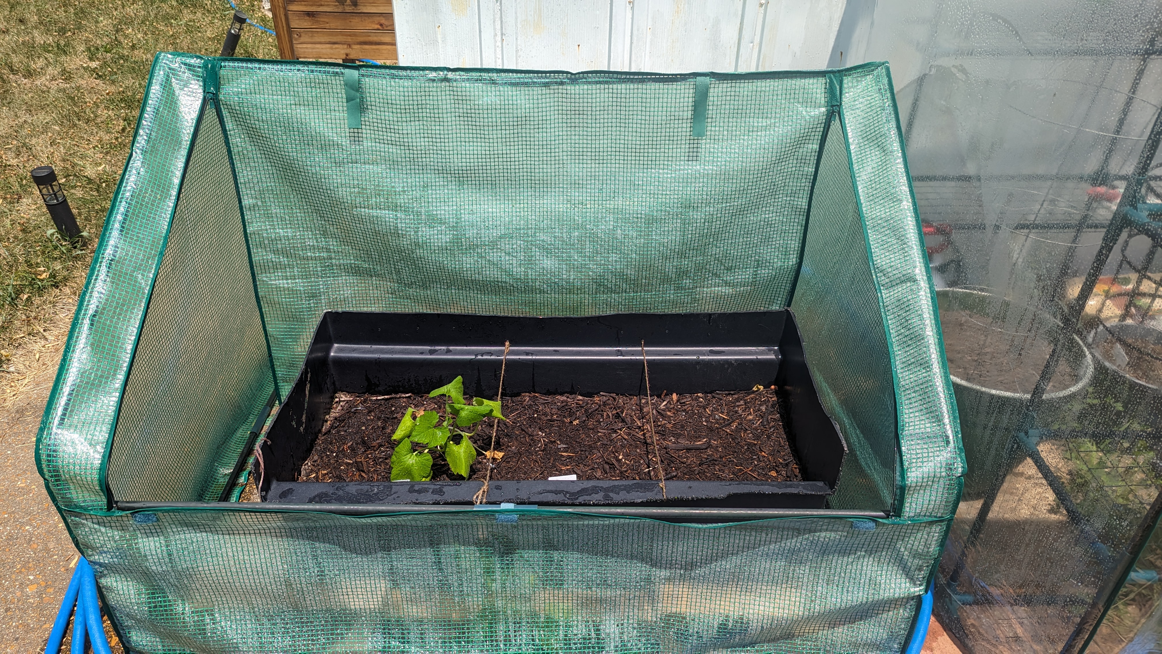 A raised garden bed