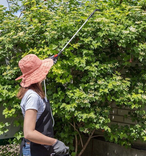 Image of woman watering plants