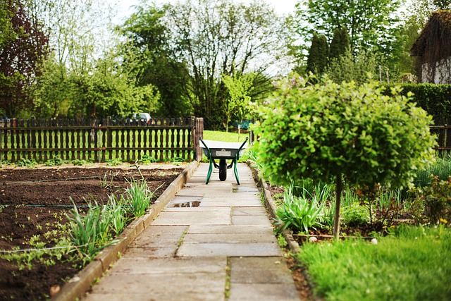 Image of a garden