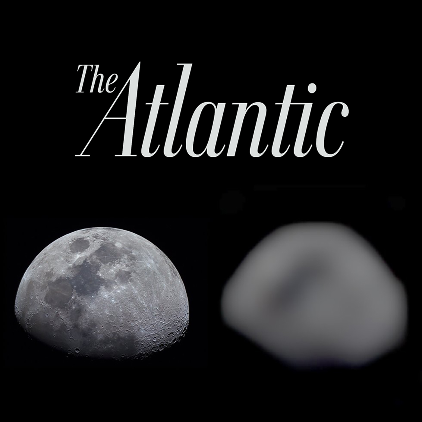 The Atlantic, jumping spiders can see the moon