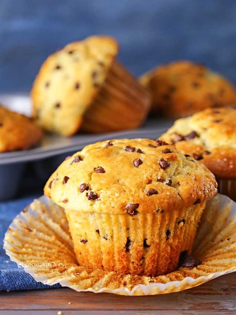 chocolate chip muffin