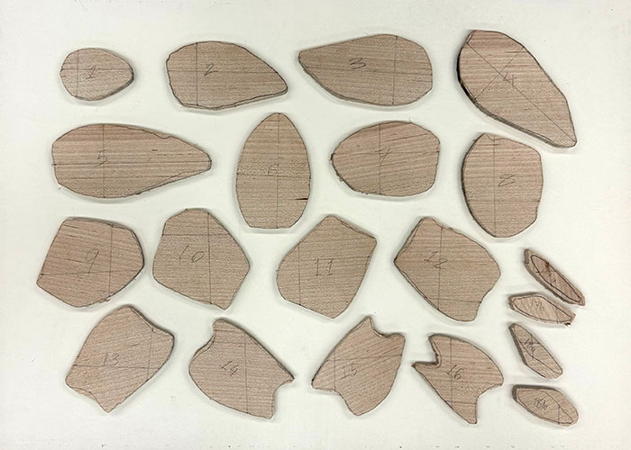 The wooden planes layed out before being glued.