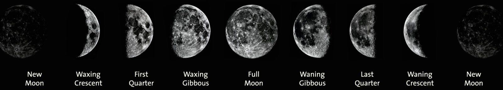 moonPhases