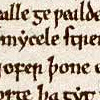 Excerpt of the Anglo-Saxon Chronicle