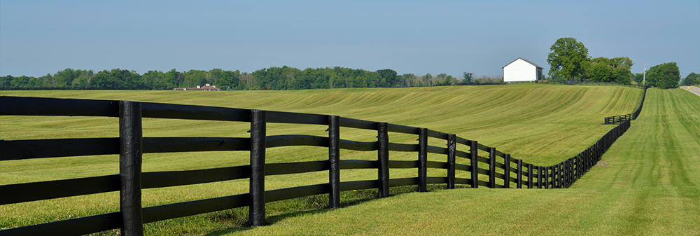 fenceline