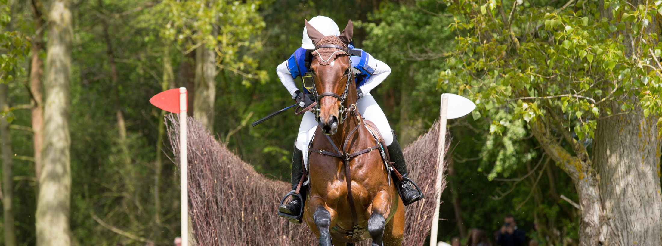 Horse and Rider in training