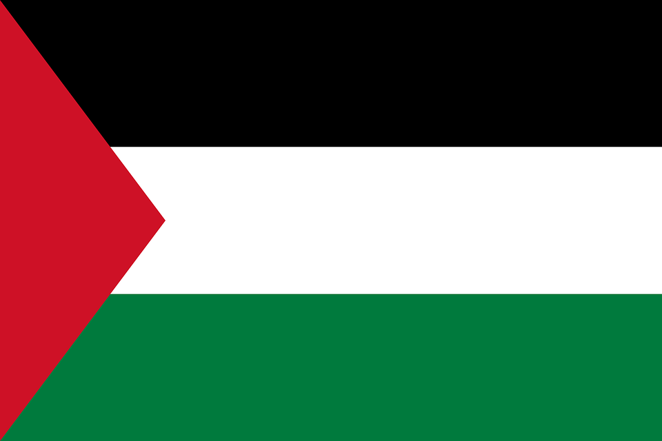 Palestine Flag