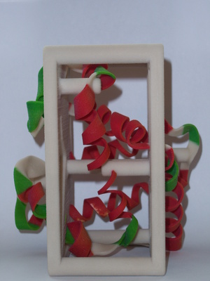myoglobin - ribbon model