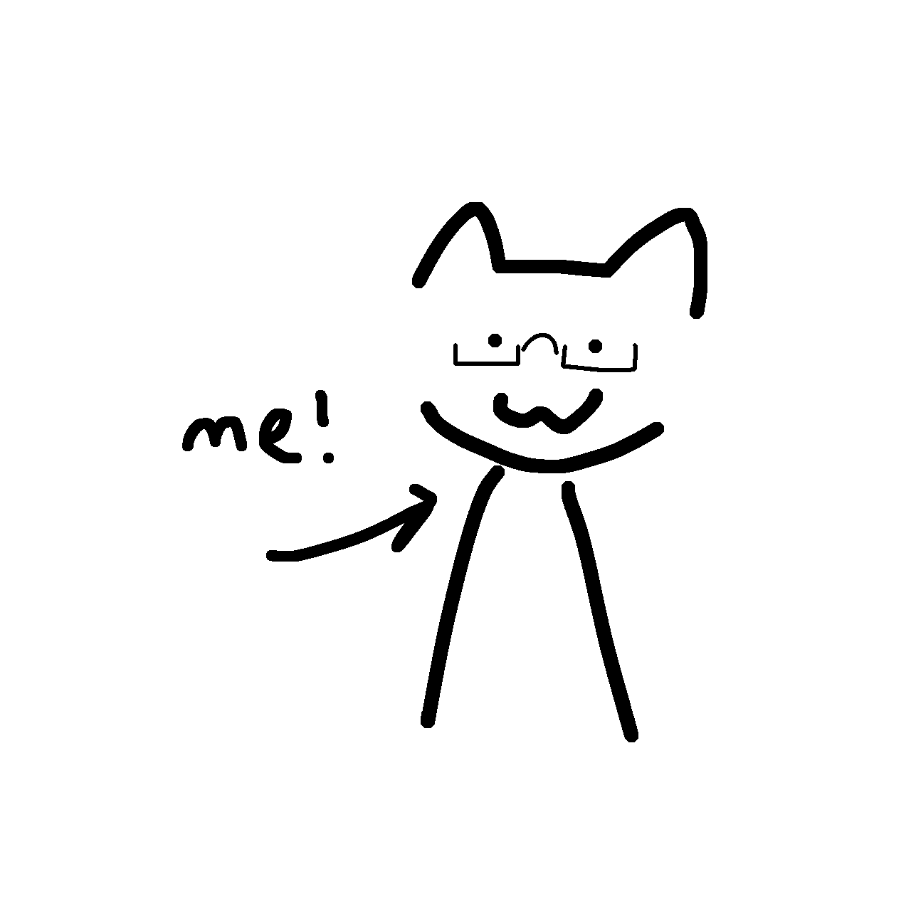 Poorly drawn cat, meant to represent the author