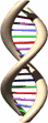http://homepages.uc.edu/~tarapopp/Journal_list/DNA%20for%20webpromotion.gif