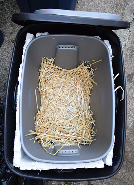 Shelter with straw in it