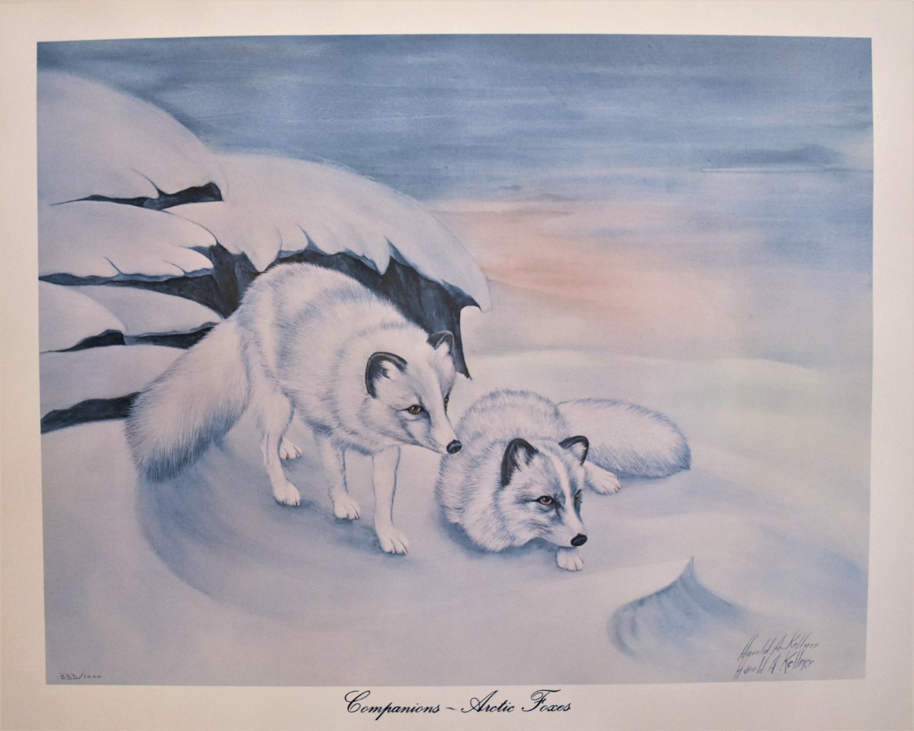 Arctic Foxes Painting
